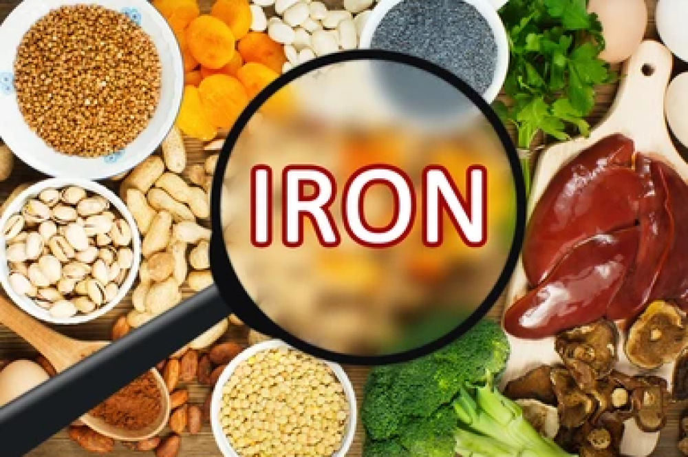 Iron Rich Foods